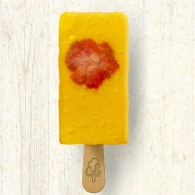 Picolé Artesanal de Manga com Morango